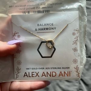 Alex and Ani Honeycomb Necklace